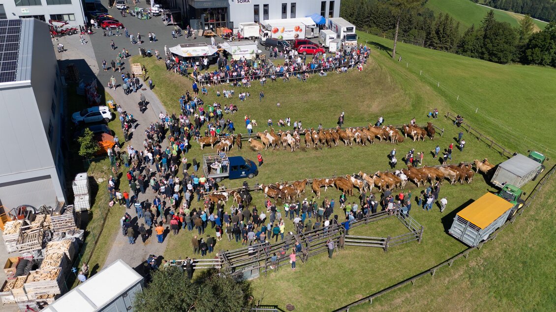 Eine große Veranstaltung auf einem landwirtschaftlichen Gelände mit vielen Menschen. Kühe sind in der Mitte der Menge und es gibt Verkaufsstände im Hintergrund. | © SOMA
