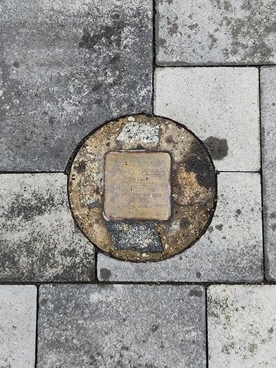 Stolperstein C Reni Hofmueller | © Bild: Reni Hofmüller