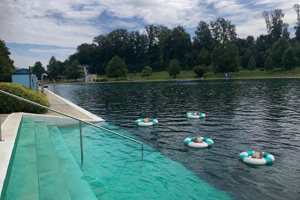 Blick auf ein idyllisches Naturbad mit klarem Wasser, sanftem Einstieg und weitläufiger Liegewiese. Umgeben von Bäumen lädt die ruhige Atmosphäre zum Schwimmen, Entspannen und Genießen der Natur ein. Die Wasser Biennale in Fürstenfeld. | © Glassner&Serasini