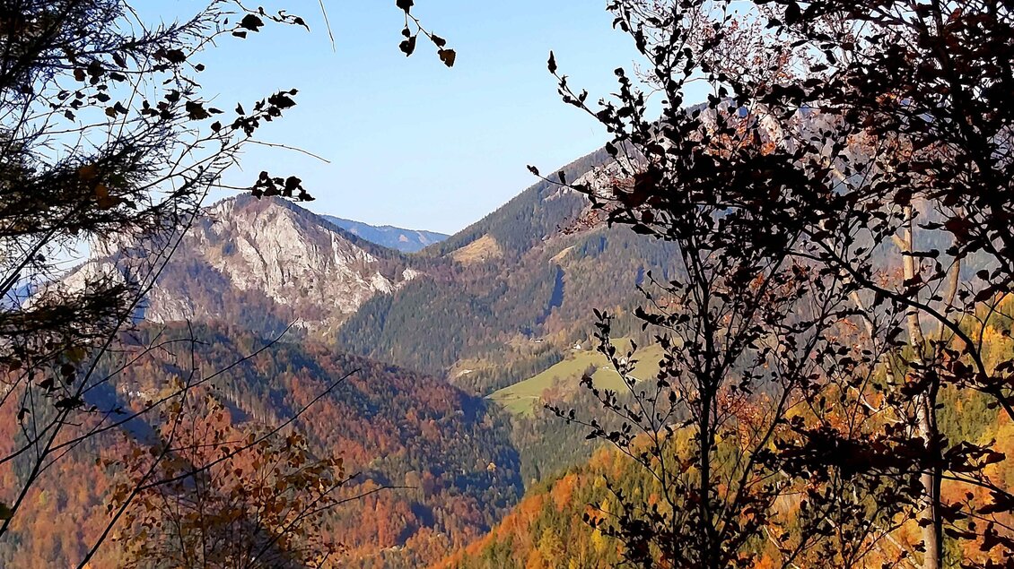 Herbstlicher Ausblick in der Gemeinde Passail | © Tourismusverband Oststeiermark