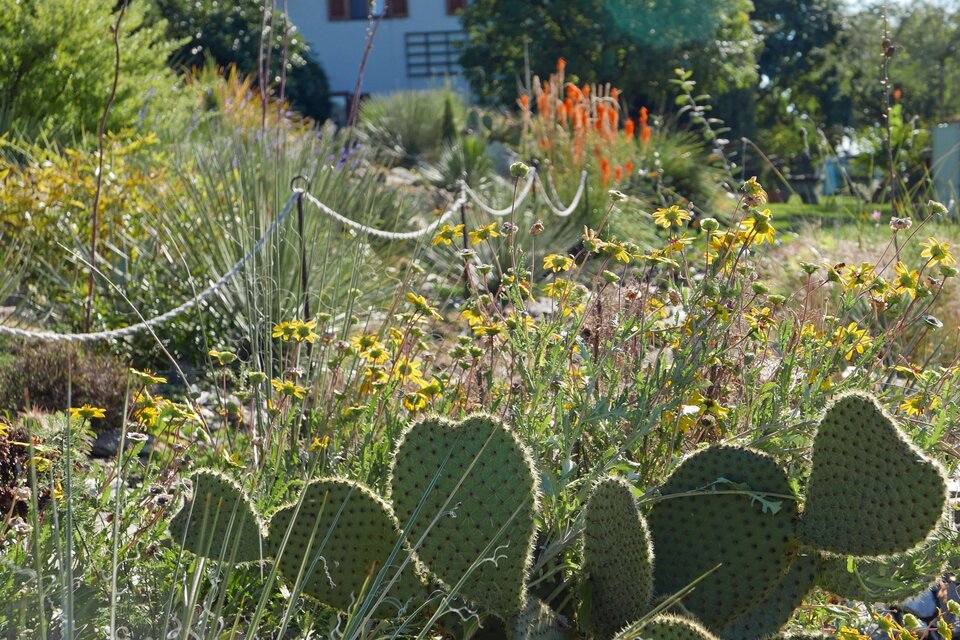 Ein schöner Garten mit verschiedenen Pflanzen und Steinen. Die grüne Landschaft ist von bunten Blumen und aufrechten Pflanzen umgeben. | © Familie Gußmagg