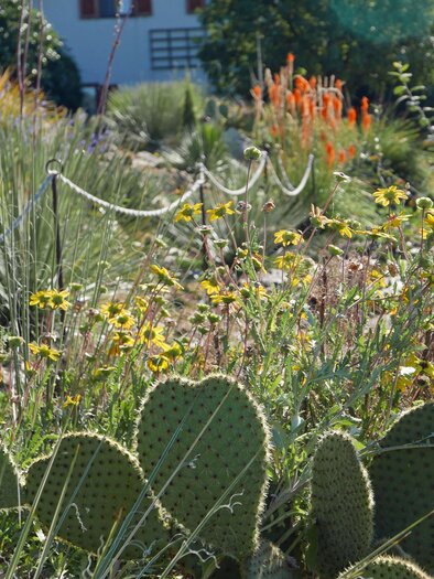 Ein schöner Garten mit verschiedenen Pflanzen und Steinen. Die grüne Landschaft ist von bunten Blumen und aufrechten Pflanzen umgeben. | © Familie Gußmagg