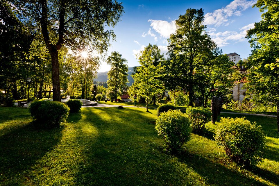 Eine grüne Parklandschaft mit vielen Bäumen und Sträuchern. Die Sonne scheint durch die Blätter und wirft lange Schatten auf den Rasen.