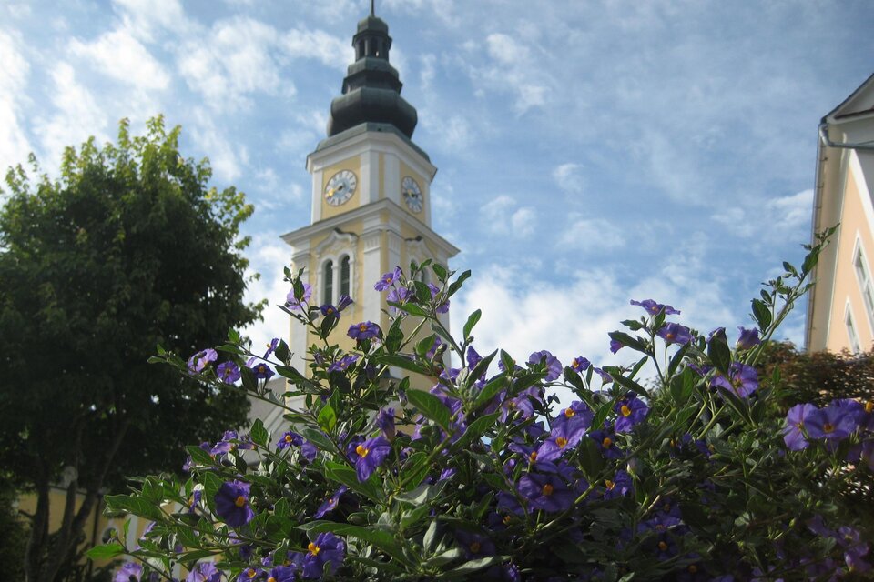 zu sehen ist ein Kirchturm mit Blumenmeer im Vordergrund. | © Gemeinde Wenigzell