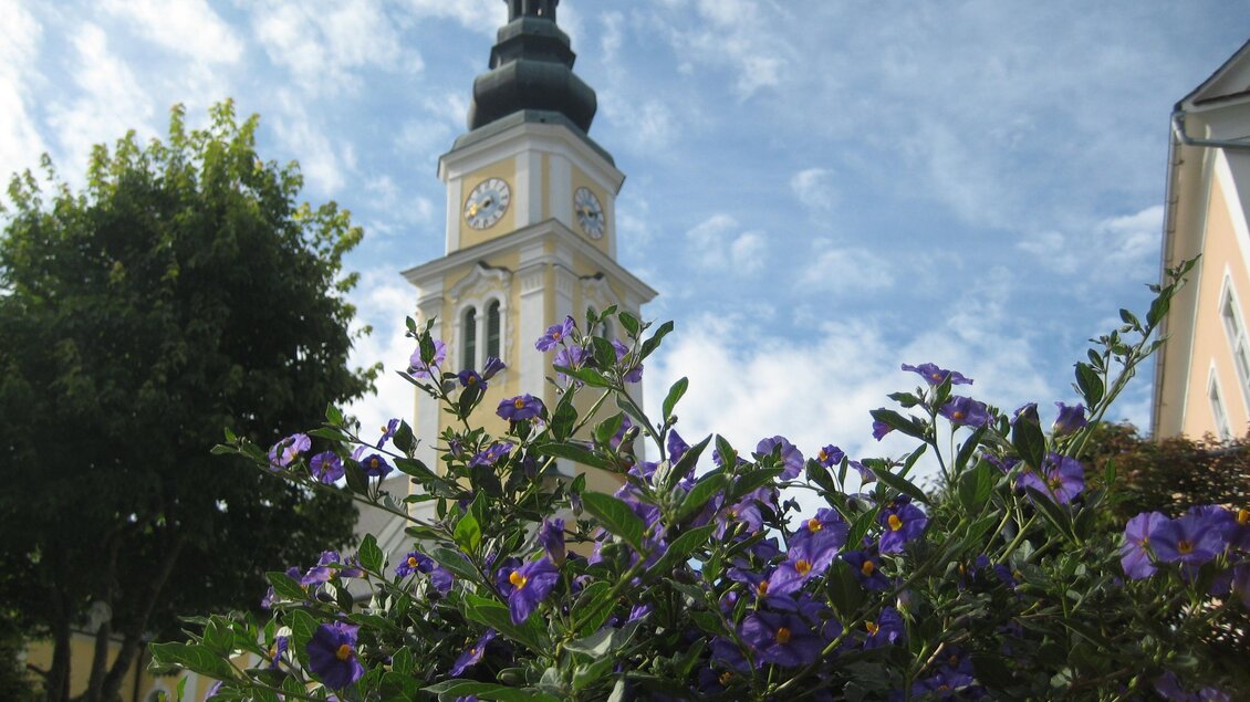 zu sehen ist ein Kirchturm mit Blumenmeer im Vordergrund. | © Gemeinde Wenigzell