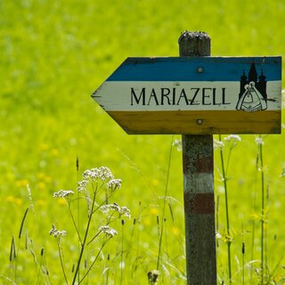 Alle Wege führen nach Mariazell | © TV Hochsteiermark