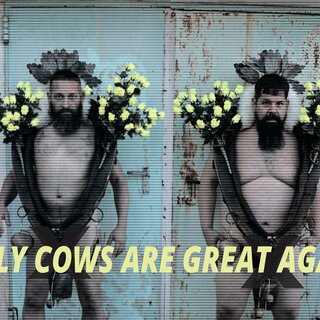 holy cows are great again | © SelfSightSeeing Company
