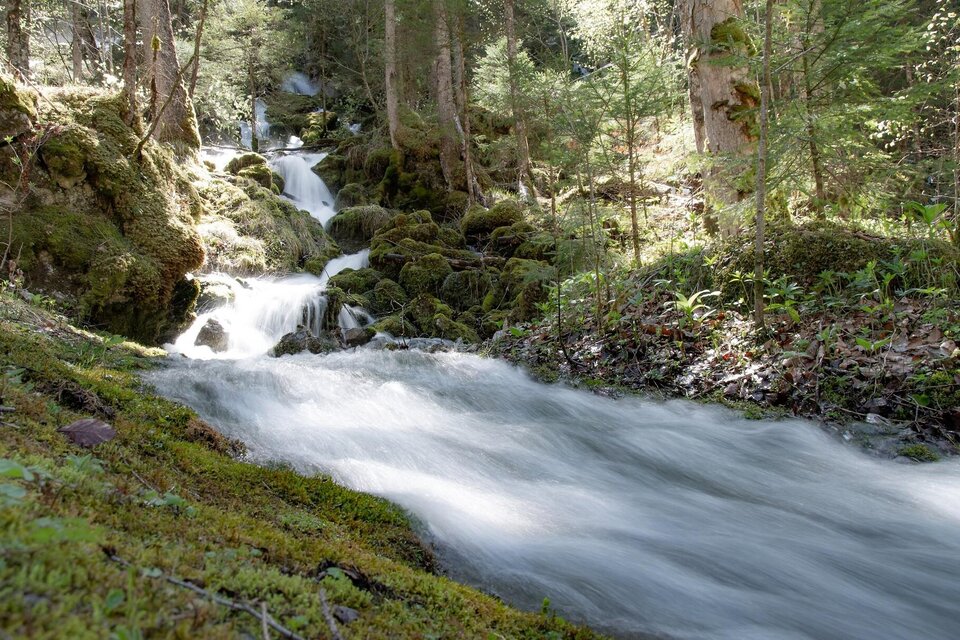 Kläfferquelle I Gesäuse I Steiermark | © TV Gesäuse