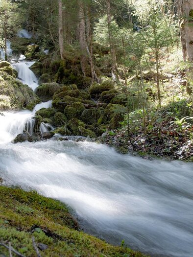 Kläfferquelle I Gesäuse I Steiermark | © TV Gesäuse