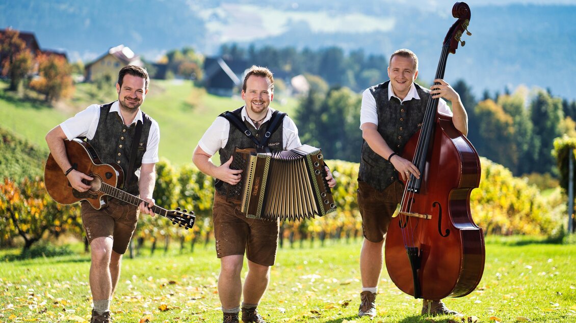 Zu sehen sind die Pagger Buam mit Instrumenten auf einer grünen Wiese. | © Pagger Buam