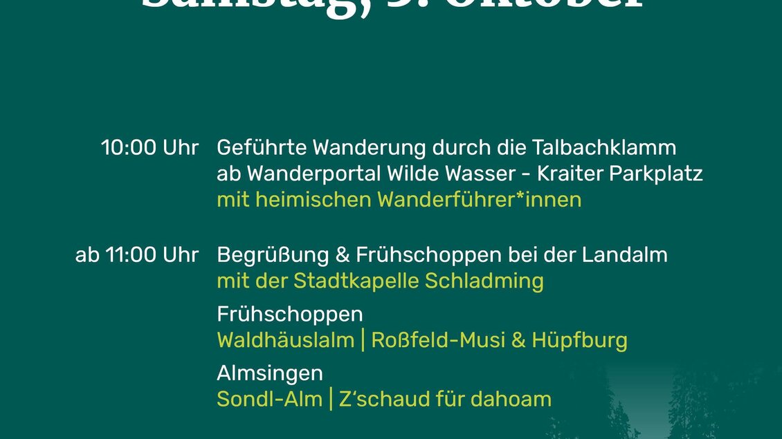 Flyer Wilde Wasser