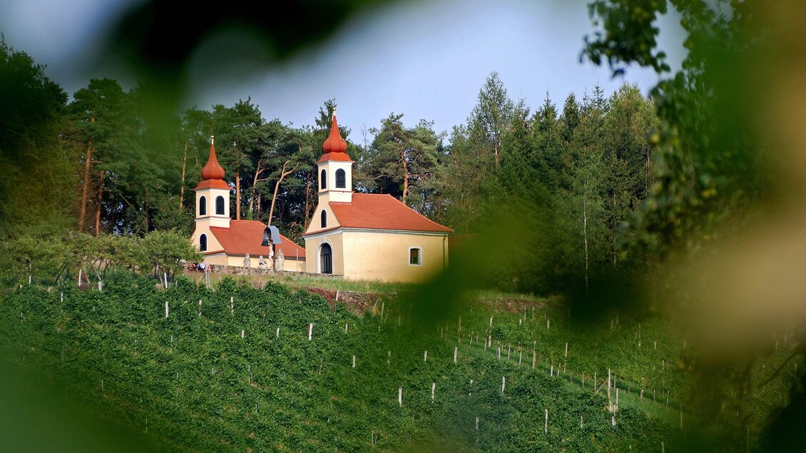 Eine malerische Kirche mit roten Dächern, umgeben von Weinbergen und Bäumen. Die Landschaft ist grün und einladend.