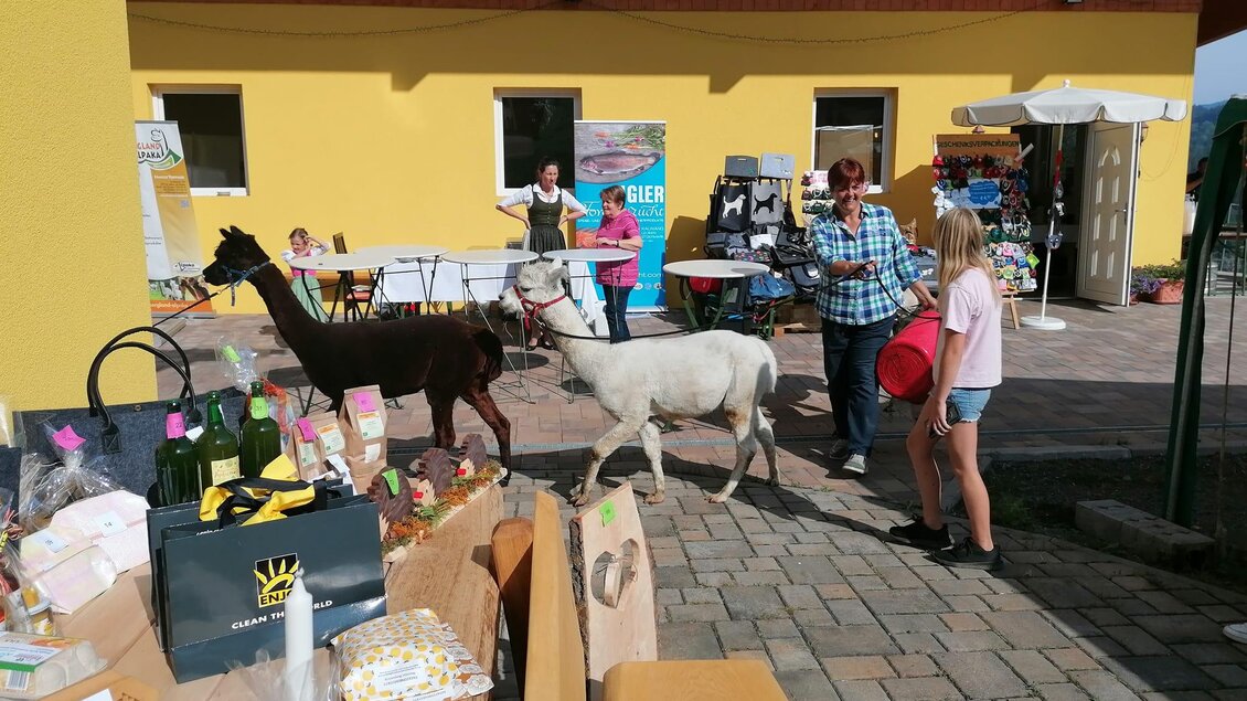 Zwei Lamas stehen in einem Außenbereich, während Erwachsene und ein Kind mit ihnen interagieren. Im Hintergrund sind Tische mit verschiedenen Produkten und ein gelbes Gebäude sichtbar. | © Apfelmaier