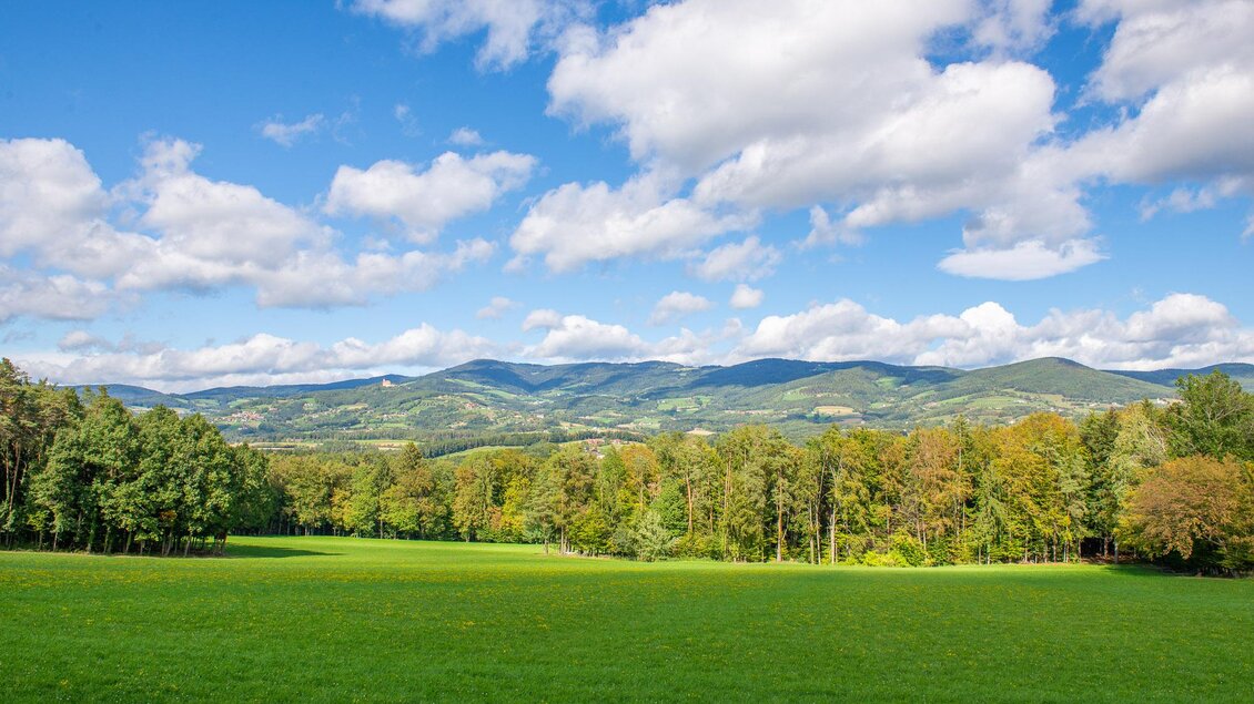 Eine weite Wiesenlandschaft mit üppigem Grün und bunten Bäumen. Im Hintergrund erheben sich sanfte Berge unter einem klaren, blauen Himmel. | © Helmut Schweighofer