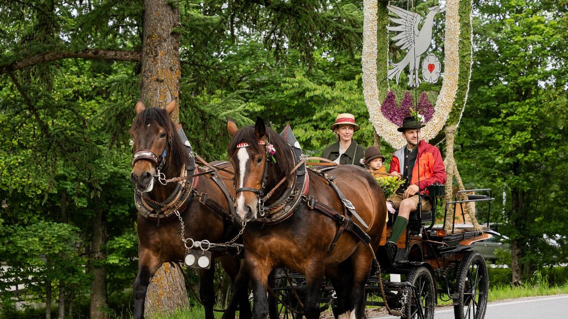 Ein festlich geschmückter Wagen wird von zwei Pferden gezogen. Die Passagiere tragen traditionelle Kleidung und fahren entlang einer Straße in einer grünen Umgebung.