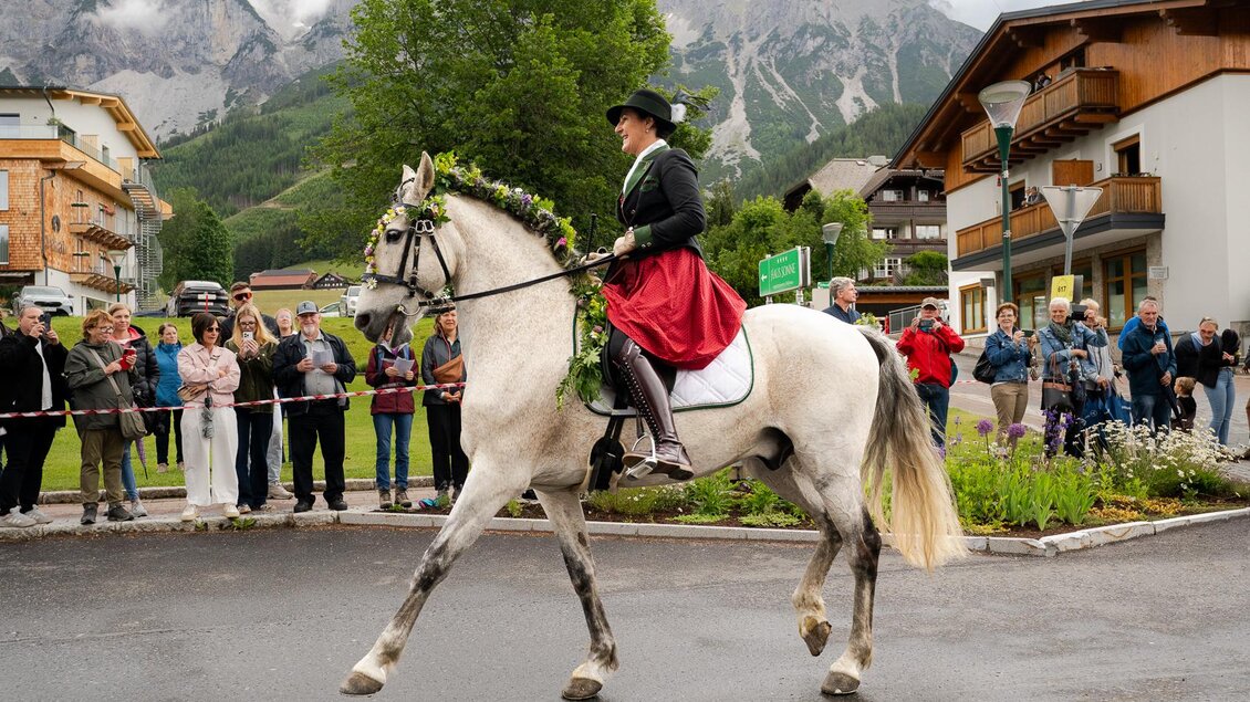 Ein prachtvolles Pferd mit einem Reiter in traditioneller Kleidung läuft durch eine Straße. Im Hintergrund sind Berge und Zuschauer zu sehen.