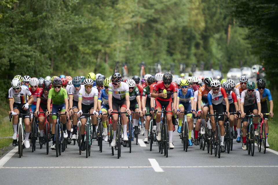 Eine Gruppe von Radfahrern fährt auf einer Straße durch einen bewaldeten Bereich. Die Fahrer tragen verschiedene Trikots und Helme, während sie konzentriert in einer Reihe fahren. | © Regionalentwicklung Oststeiermark
