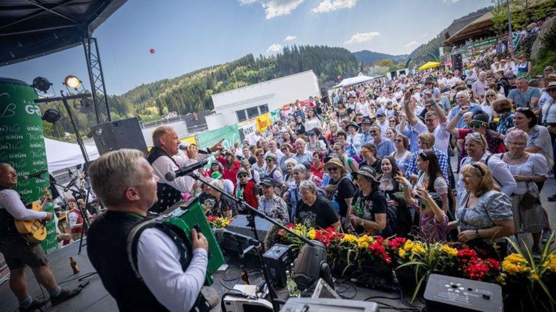 Eine lebendige Veranstaltung mit einer Band auf der Bühne und einer großen Menschenmenge. Die Atmosphäre ist festlich und die Zuschauer genießen die Musik in schöner Naturkulisse. | © Edlseer Alm BePo