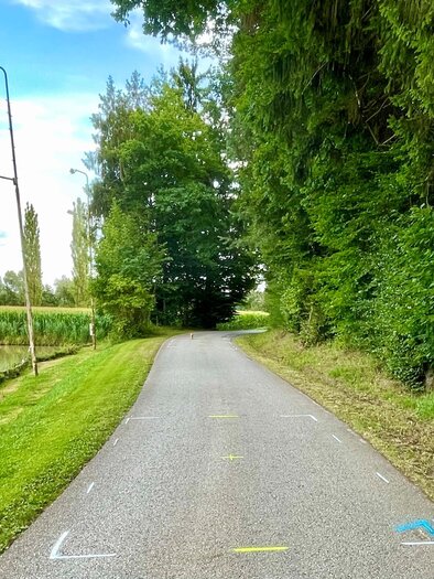 Ein stiller Weg, gesäumt von Wasser, Wiesen und sanftem Grün. Hier findet das Gillersdorfer Straßenturnier statt. | © ESV Gillersdorf