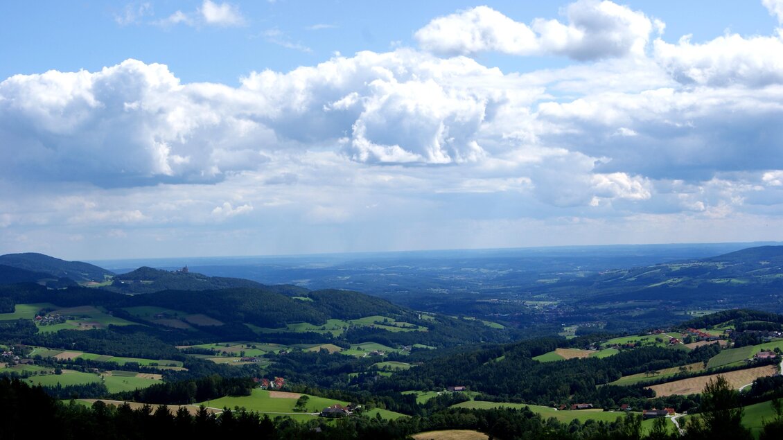 Eine schöne Landschaft mit sanften Hügeln und grünen Feldern unter einem bewölkten Himmel. Die Aussicht erstreckt sich bis zum Horizont. | © Michael Fischer