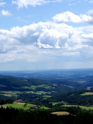 Eine schöne Landschaft mit sanften Hügeln und grünen Feldern unter einem bewölkten Himmel. Die Aussicht erstreckt sich bis zum Horizont. | © Michael Fischer