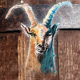 Ein kunstvolles Bild eines Ziegenkopfes mit großen Hörnern, das auf einem holzernen Hintergrund gemalt ist. Die Farben sind lebhaft und betonen die Details des Gesichts.