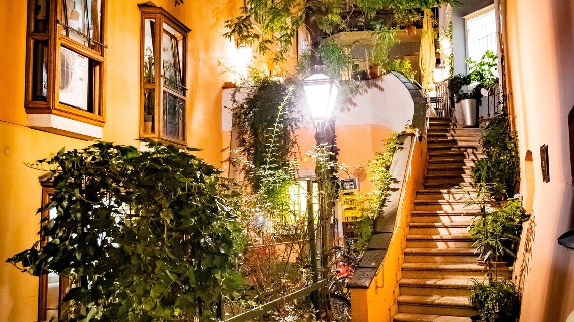 Eine gemütliche Treppe, umgeben von Pflanzen und warmem Licht. Der Weg führt zu einer malerischen Ecke mit großen Fenstern. | © Graz Tourismus - Werner Krug