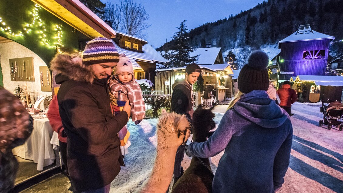 Eine winterliche Szene mit Menschen, die in einer schneebedeckten Umgebung Zeit verbringen. Im Vordergrund sind Alpakas und fröhliche Gesichter zu sehen, während festliche Lichter die Atmosphäre erhellen. | © Gerhard Pilz
