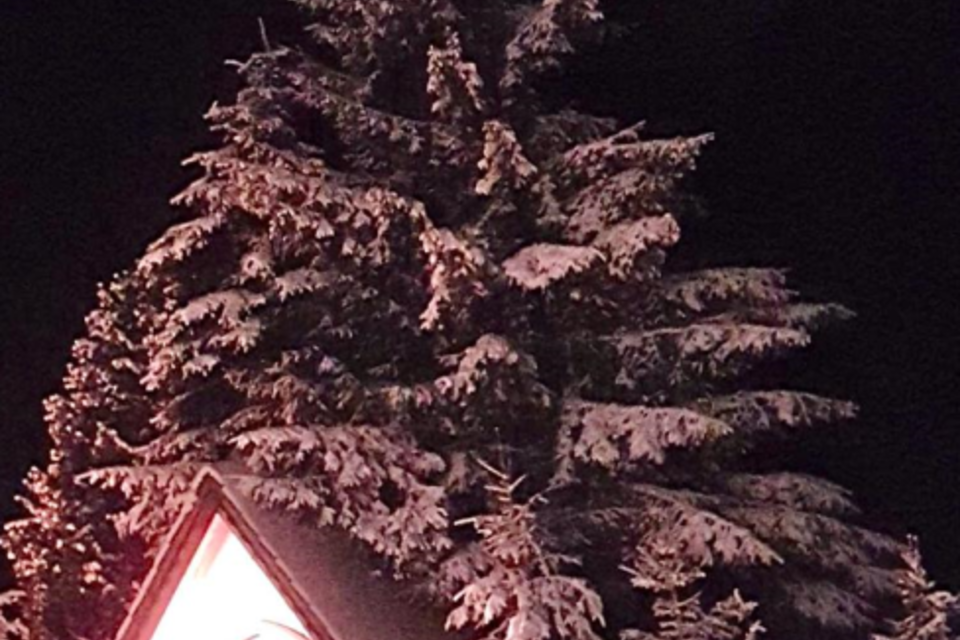 Eine kleine Hütte im Schnee, umgeben von schneebedeckten Bäumen. Das warme Licht aus dem Inneren der Hütte strahlt in die dunkle Nacht.