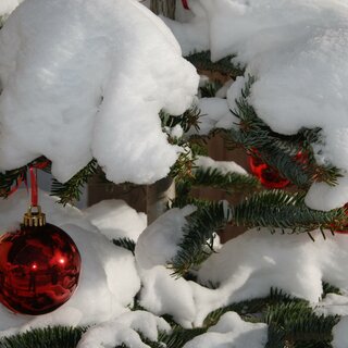 Christbaumkugel mit Schnee | © TVB Ausseerland Salzkammergut_Pirker