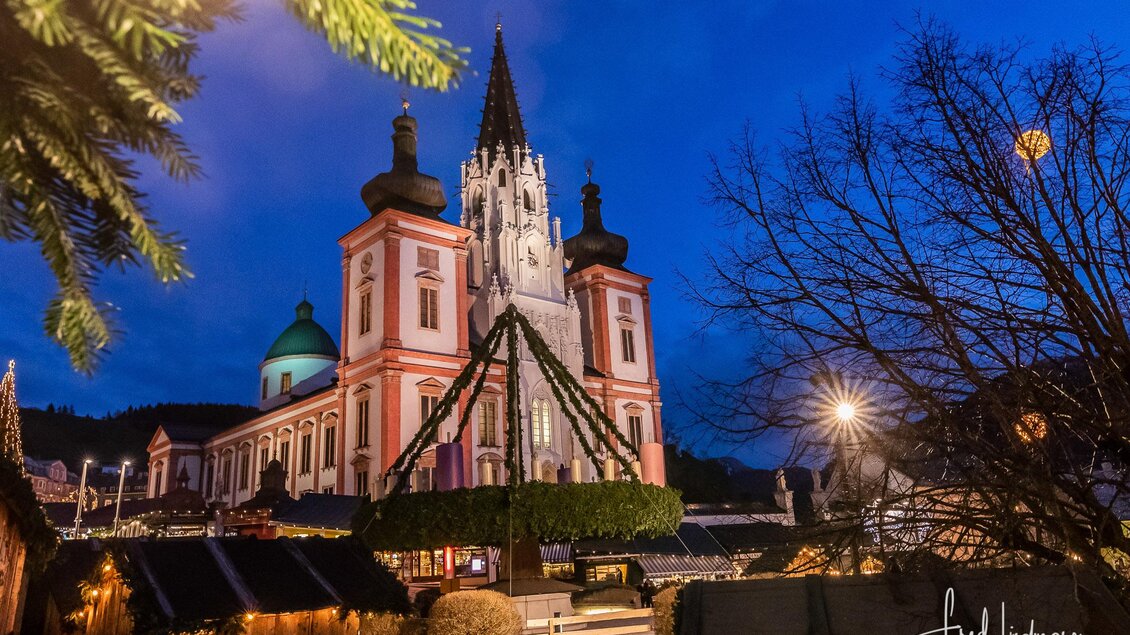 Blick auf die Basilika | © Fred Lindmoser