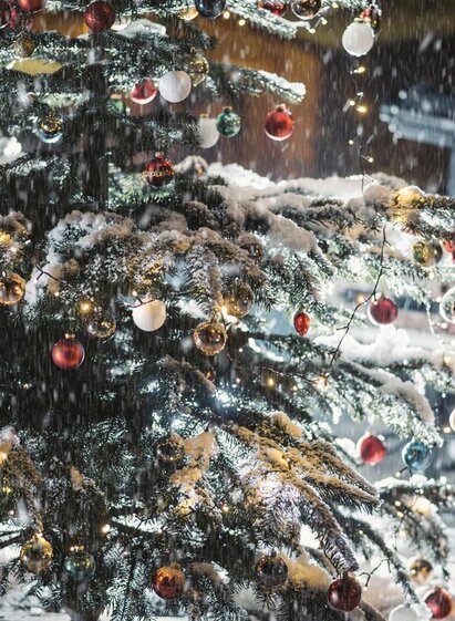 Christbaum I Gesäuse I Steiermark | © TV Gesäuse | Stefan Leitner | © TV Gesäuse