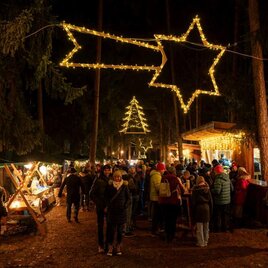 Ein festlicher Weihnachtsmarkt im Wald bei Nacht. Lichtersterne und Weihnachtsbaumdekorationen schmücken die Säfte, während viele Menschen die Atmosphäre genießen. | © Oststeiermark Tourismus