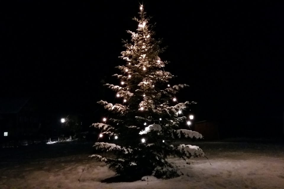 Ein festlich geschmückter Weihnachtsbaum steht in einer schneebedeckten Landschaft bei Nacht. Die Lichter am Baum leuchten und schaffen eine besinnliche Atmosphäre. | © Petra Kirchschlager
