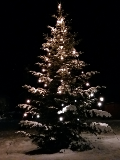Ein festlich geschmückter Weihnachtsbaum steht in einer schneebedeckten Landschaft bei Nacht. Die Lichter am Baum leuchten und schaffen eine besinnliche Atmosphäre. | © Petra Kirchschlager