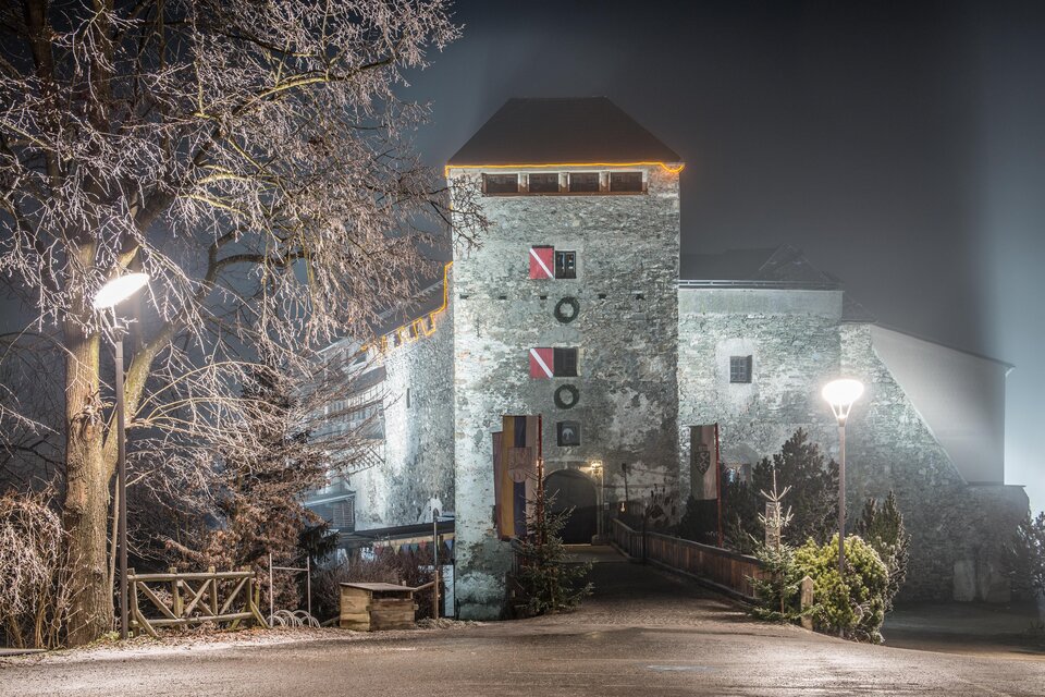 Ein altehrwürdiges Schloss bei Nacht, umgeben von Nebel. Die beleuchteten Details und der frostige Baum schaffen eine mystische Atmosphäre.