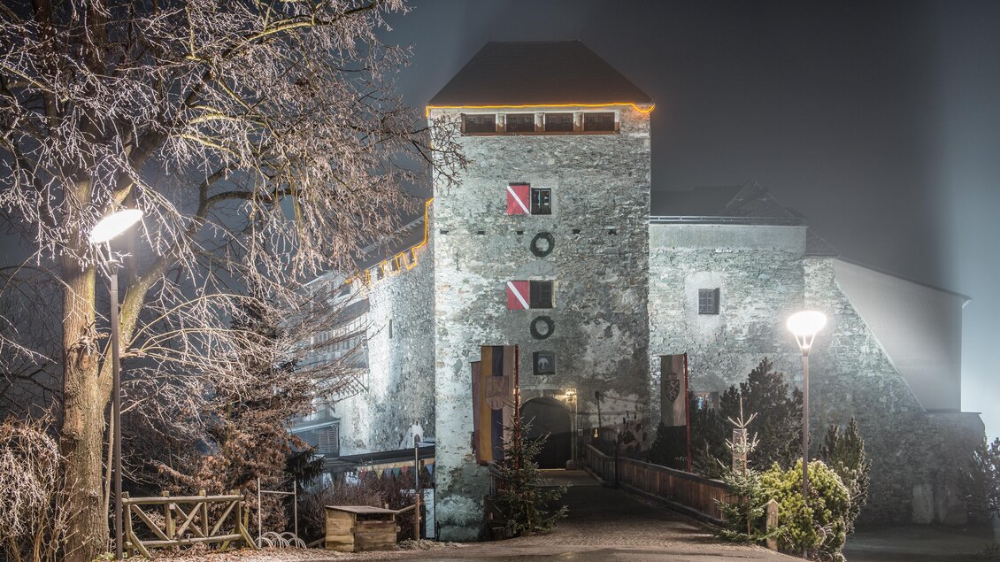 Ein altehrwürdiges Schloss bei Nacht, umgeben von Nebel. Die beleuchteten Details und der frostige Baum schaffen eine mystische Atmosphäre.
