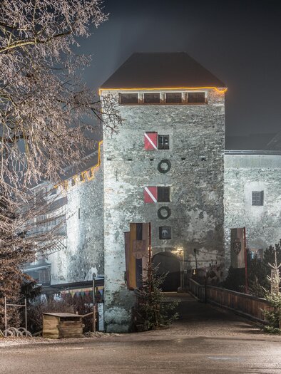 Ein altehrwürdiges Schloss bei Nacht, umgeben von Nebel. Die beleuchteten Details und der frostige Baum schaffen eine mystische Atmosphäre.