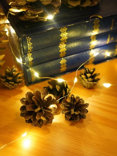 Ein gemütlicher Tisch mit Tannenzapfen und alten Bücher. Warmes Licht von einer Lichterkette schafft eine festliche Atmosphäre. | © Eli Pluma unsplash