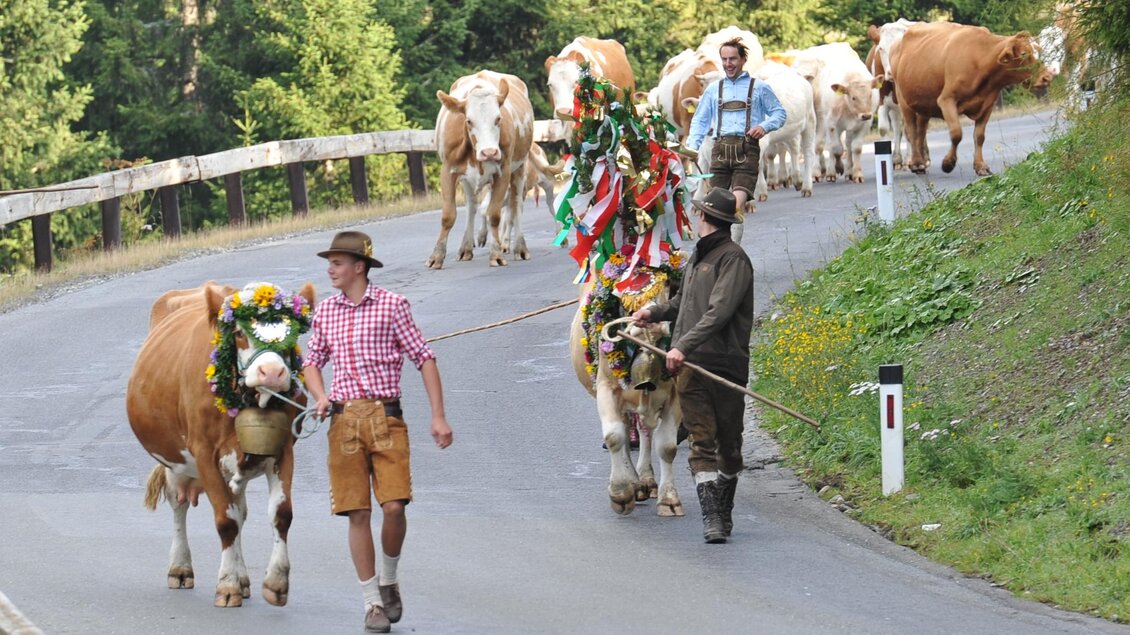 Eine traditionelle Almparade mit Kühen, die mit Blumen geschmückt sind. Zwei Personen in Trachten begleiten die Tiere auf einer ländlichen Straße. | © Almabtrieb-vom Lachtal auf's Hochegg, Josef Wieser