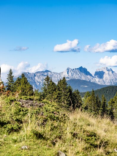 Almabtrieb-Murtal-Steiermark | © Anita Fössl