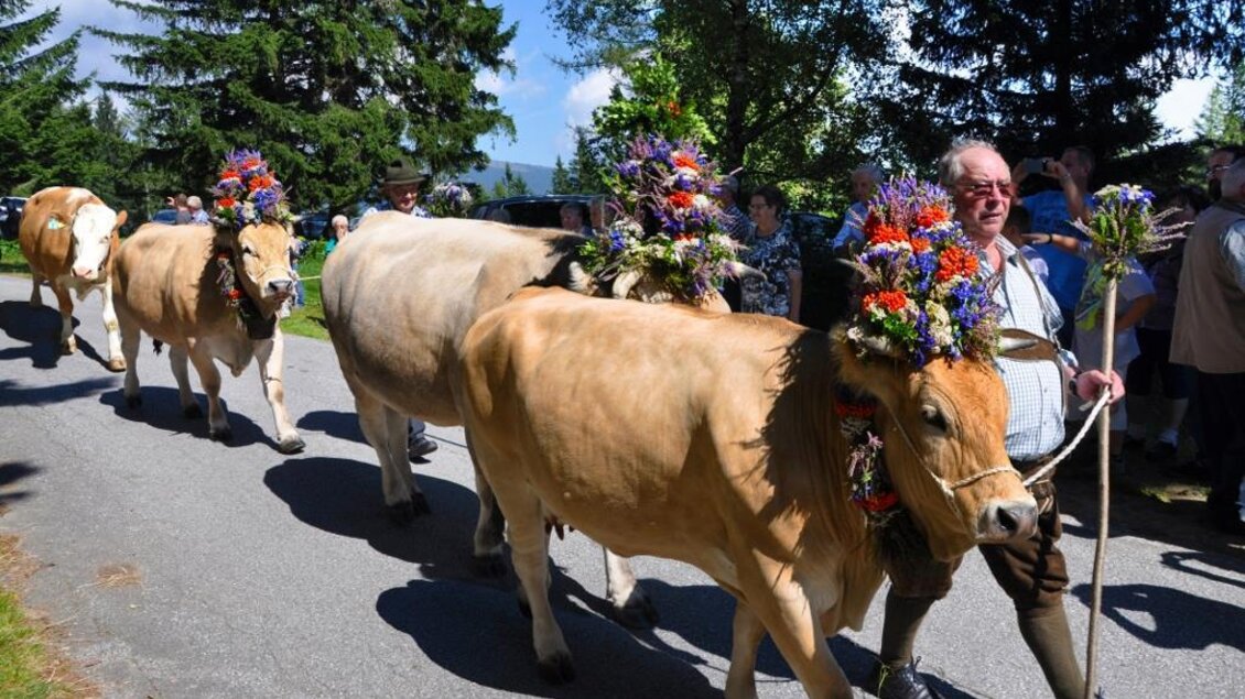 Eine festliche Kuhparade auf einer Landstraße. Mehrere Kühe mit bunten Blumenkränzen werden von einem Mann und Zuschauern begleitet. | © Maria Fank