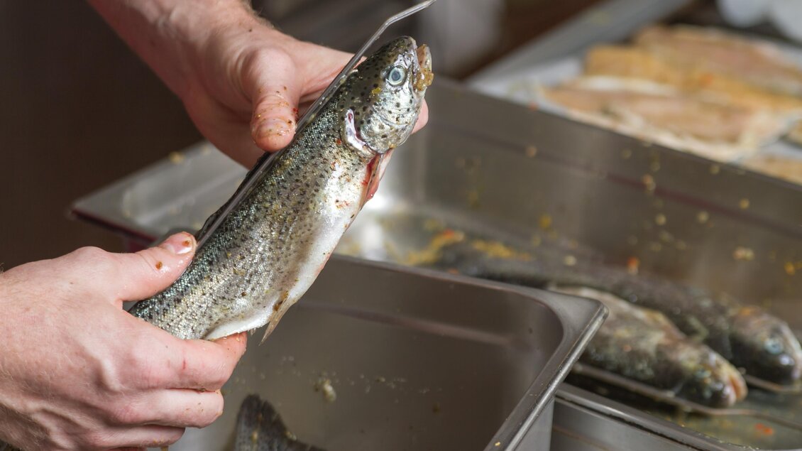 Fisch-Zubereitung beim Karl-Wirt in St. Kathrein am Offenegg | © GH Karlwirt