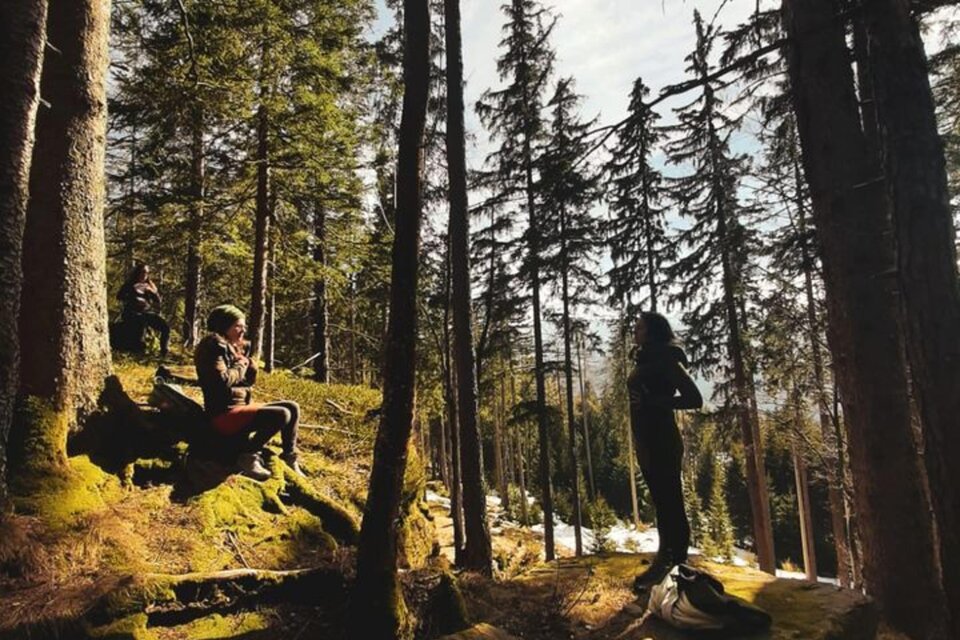 Ein ruhiger Wald mit hohen Bäumen und weichem Moos. Zwei Personen genießen die Natur und die frische Luft. | © Sabrina Lukas
