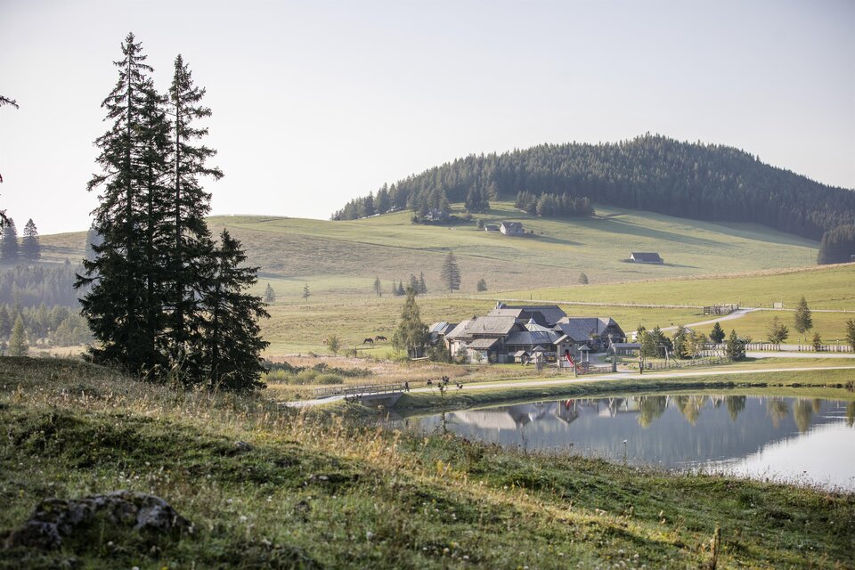 Eine ruhige Landschaft mit sanften Hügeln und einem auffälligen Gebäude am Wasser. Im Hintergrund sind bewaldete Berge zu sehen. | © Pierer Gastronomie GmbH