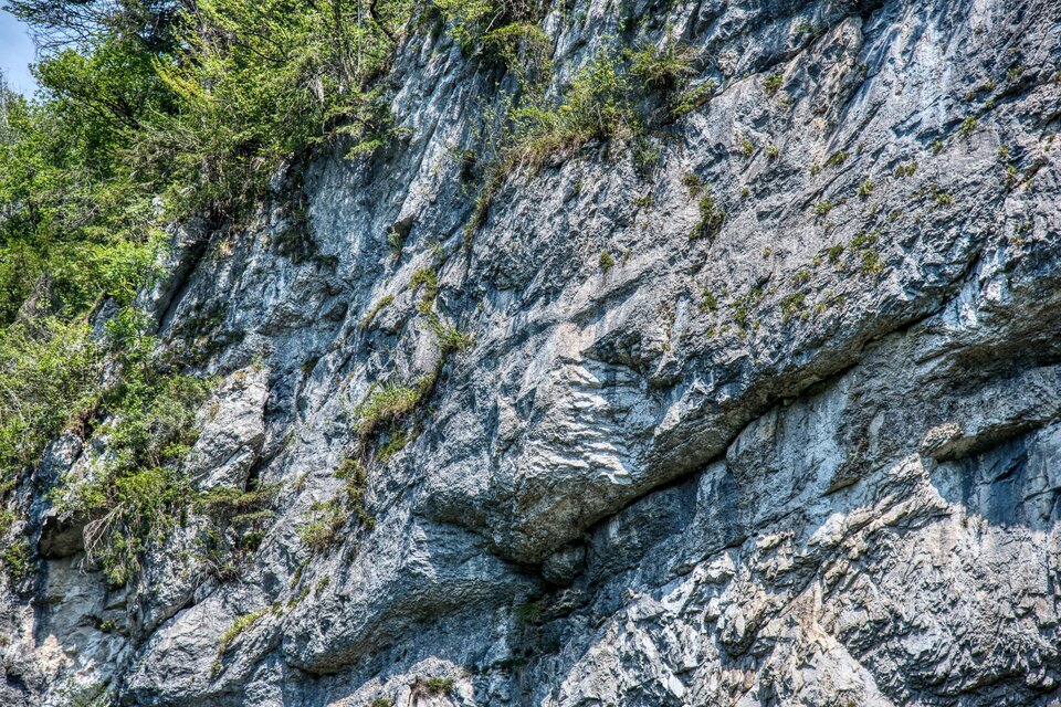 Eine steile Felswand mit grünen Pflanzen, die oben wachsen. Die Struktur des Gesteins ist deutlich sichtbar. | © pixabay.com