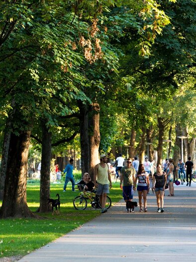 Ein schöner Parkweg, umgeben von Bäumen. Menschen spazieren, fahren Fahrrad und genießen die Natur. | © Graz Tourismus_Harry Schiffer