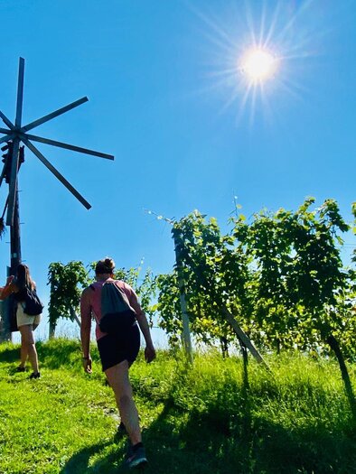 Menschen gehen einen schmalen Weg in einem Weinberg. Über ihnen strahlt die Sonne am klaren blauen Himmel. | © CDM Incoming