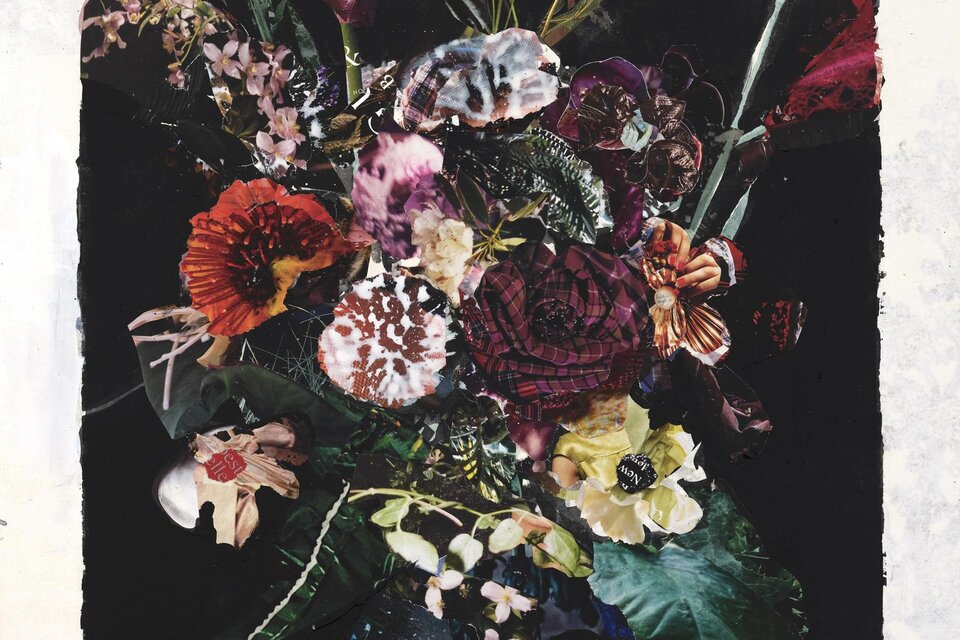 Kunstvolle Collage aus floralen Motiven, Blüten und Naturformen in intensiven Farben vor dunklem Hintergrund – zeitgenössische Kunst von Gabi Trinkaus, kreative Ausdruckskraft und kulturelle Vielfalt in er Galerie Gölles in Fürstenfeld.   | © Michael Goldgruber