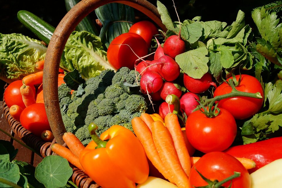 Ein Korb voller frisches Gemüse, darunter Tomaten, Karotten und Brokkoli. Die Farben sind lebhaft und die Auswahl ist vielfältig. | © Pixabay